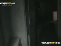 hot voyeur films a neighbor slut and her dog